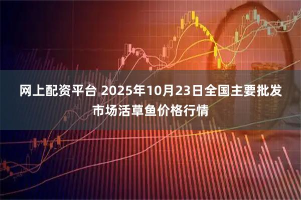 网上配资平台 2025年10月23日全国主要批发市场活草鱼价格行情